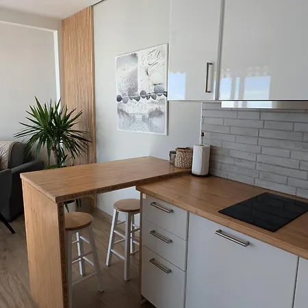 Waterfront In Heart Of Paseo Maritimo - Marbella!